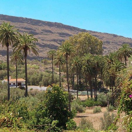 Casa Rural El Olivar La Almazara Santa Lucia De Tirajana Экстерьер фото