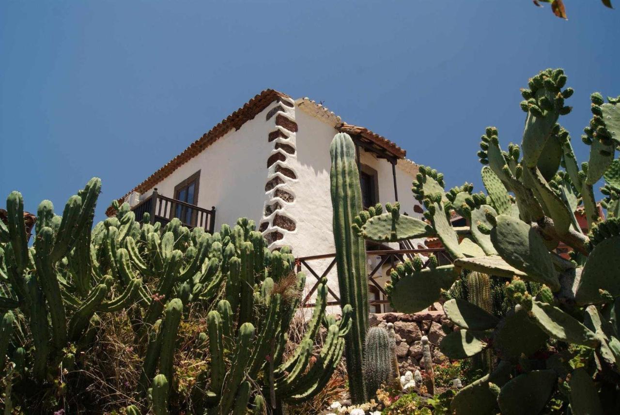 Casa Rural El Olivar La Almazara Santa Lucia De Tirajana Экстерьер фото