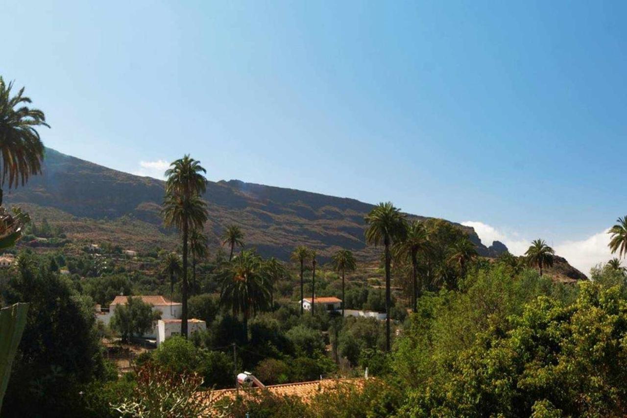 Casa Rural El Olivar La Almazara Santa Lucia De Tirajana Экстерьер фото
